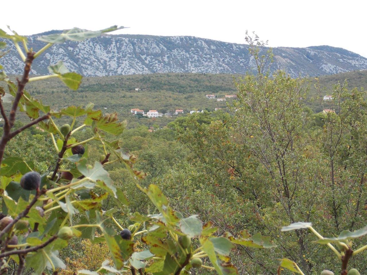 Apartments Rogic Jadranovo Dış mekan fotoğraf